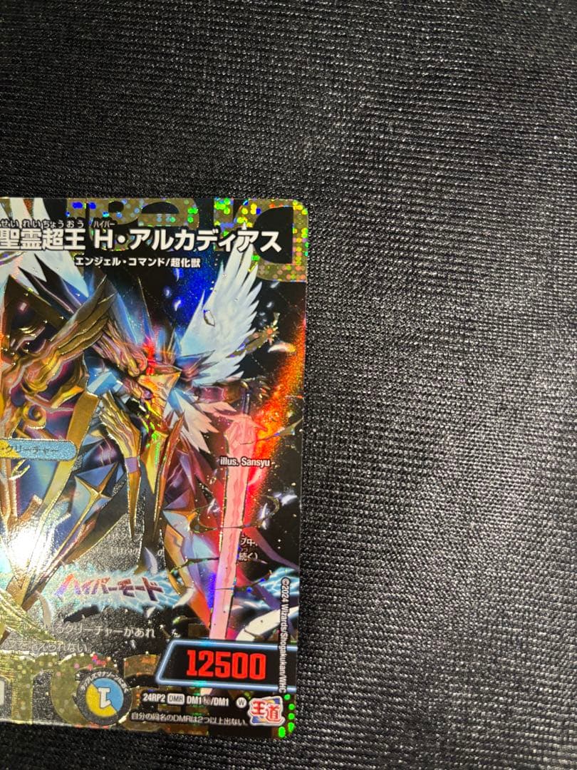 聖霊超王Hアルカディアス　シークレット