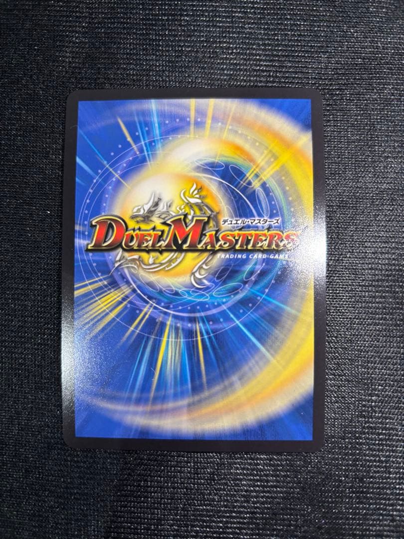 聖霊超王Hアルカディアス　シークレット