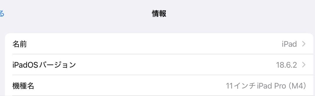 ましゅページ　Apple iPad Pro （M4）