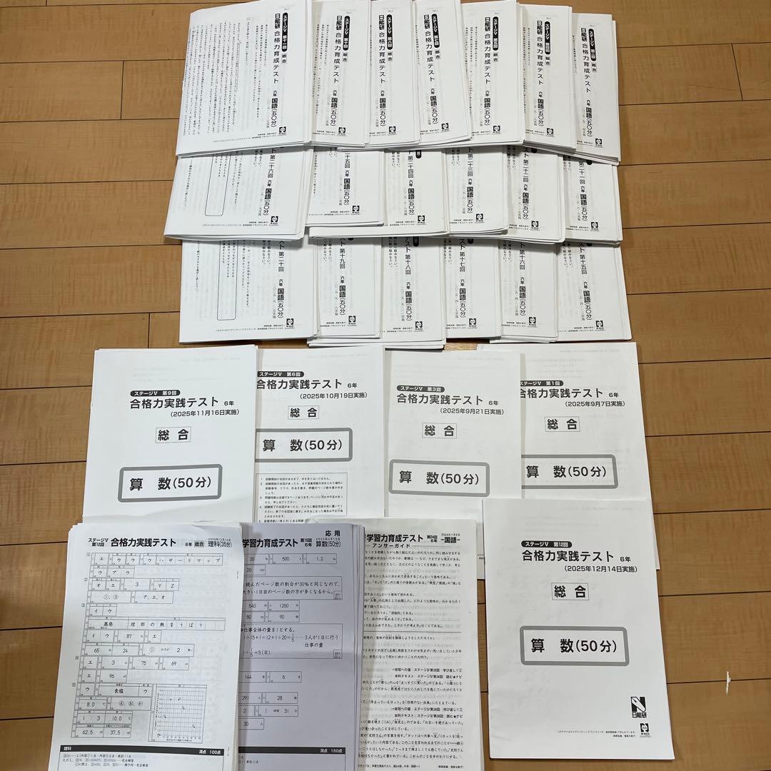 日能研　6年生　2025年　合格力実践テスト　合格力育成テスト