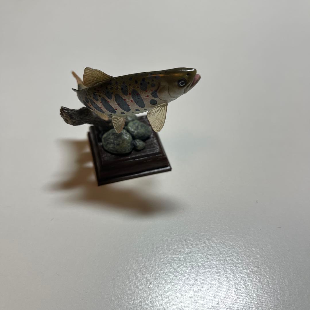 ネイチャーテクニカラー　日本の清流　アマゴ　トウヨシノボリ