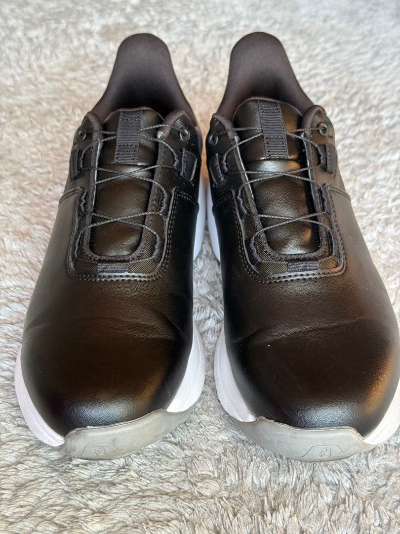 クレマチス様　プロライト BOA 24cm 黒/グレー