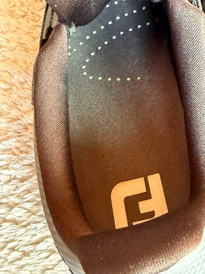 クレマチス様　プロライト BOA 24cm 黒/グレー