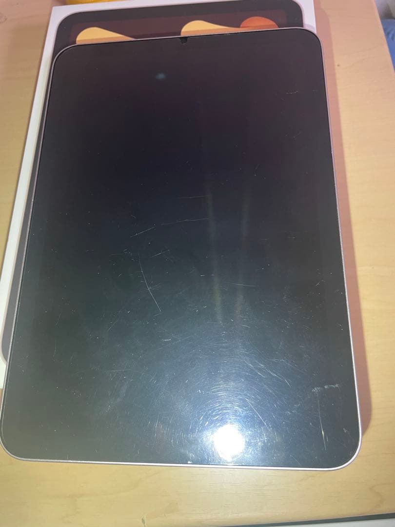 Apple iPad mini ピンク 8.3インチ 本体(ジャンク)