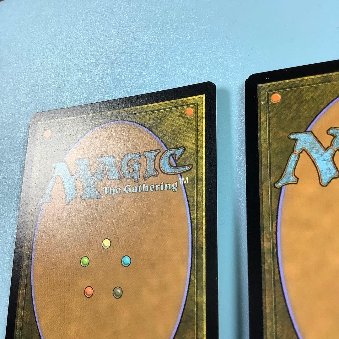 *バラ売り可* 霧深い雨林　 ZNE英語foil2枚セット