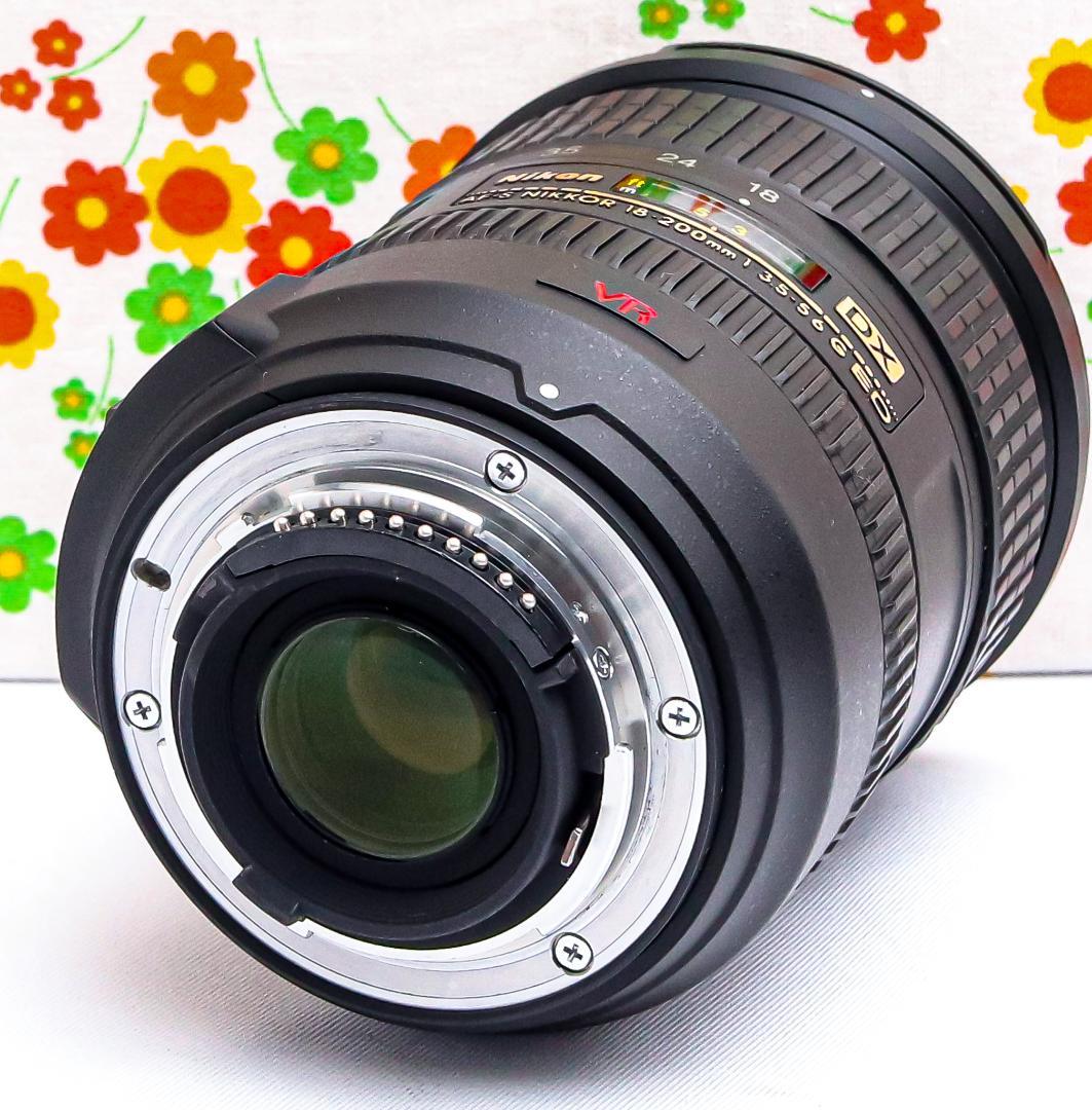 ニコン Nikon AF-S DX 18-200㎜☆近距離から望遠まで！