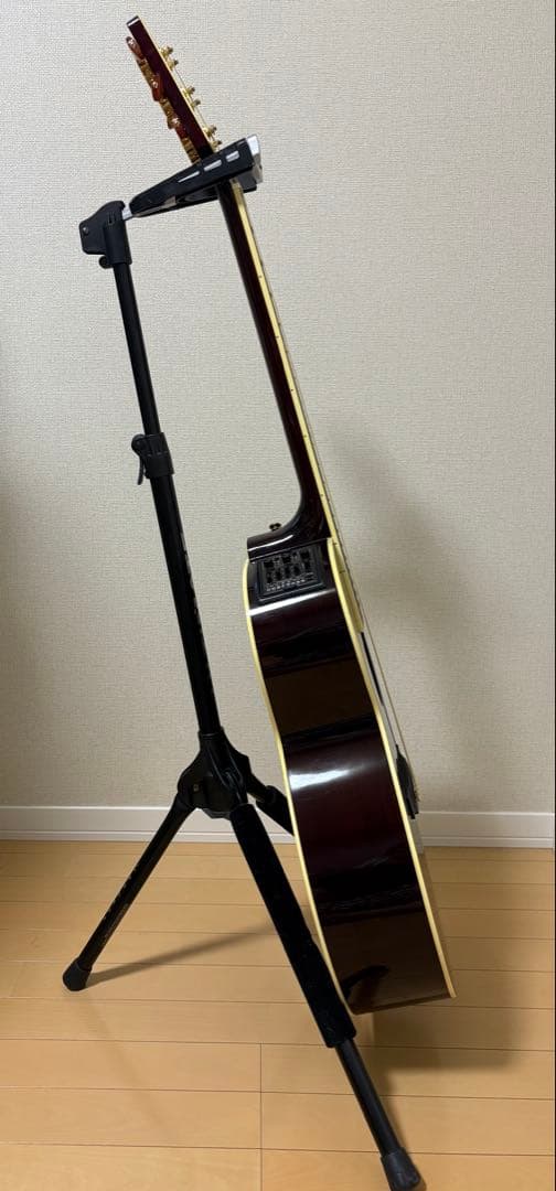 ギター Takamine DMP50S WR