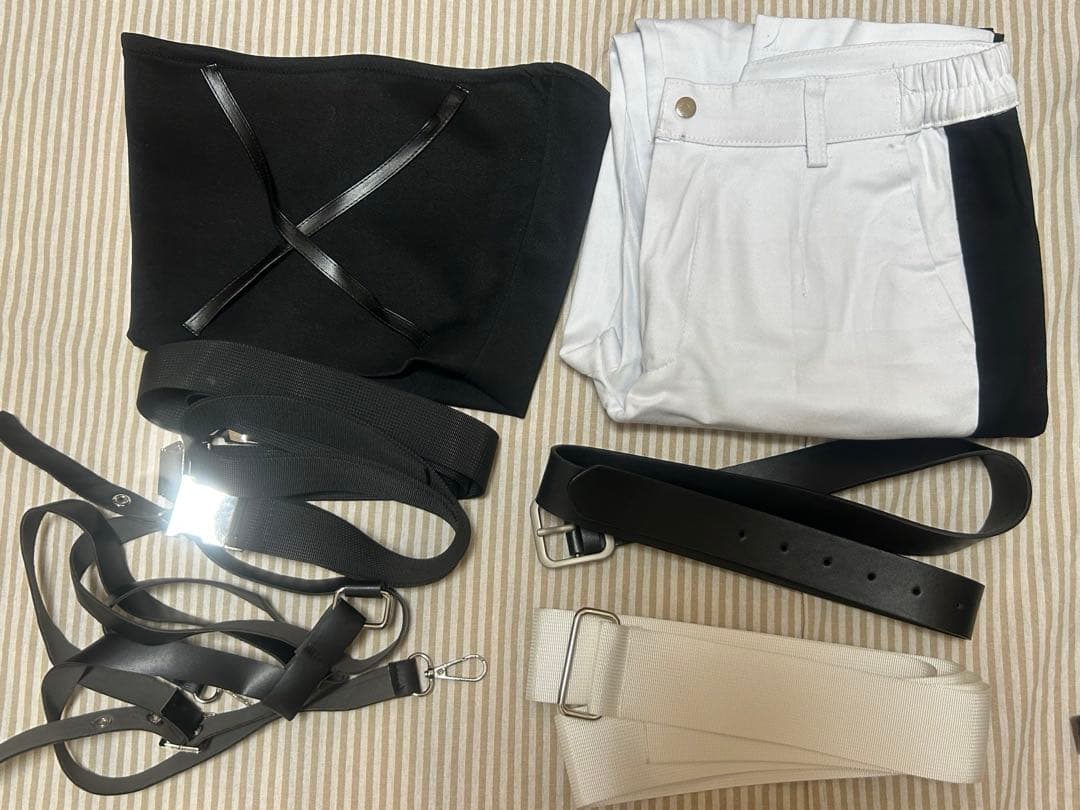 にじさんじ VOLTACTION セラフ・ダズルガーデン コスプレ 衣装