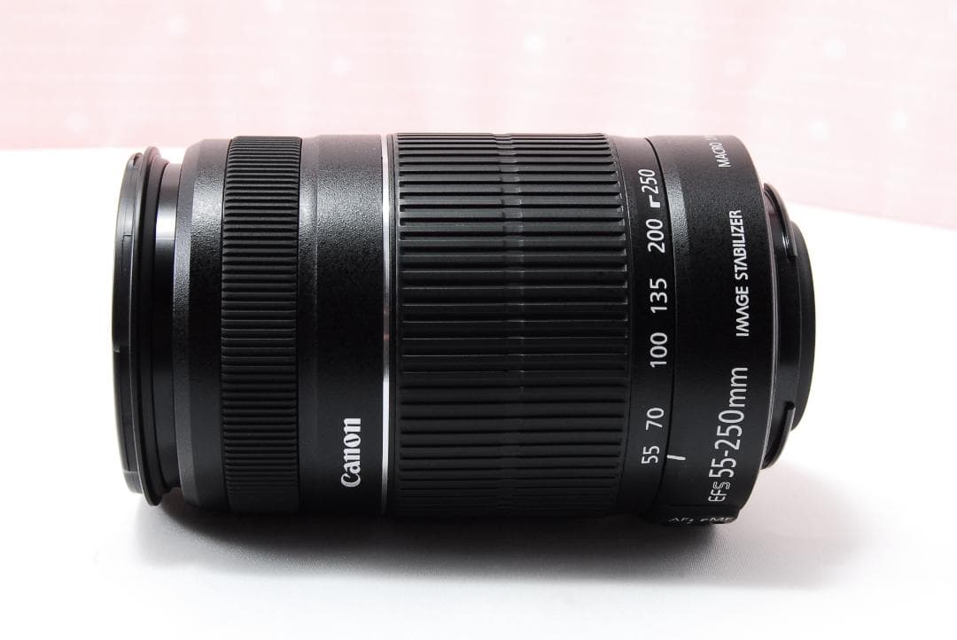 〓美品〓キヤノン EF-S 55-250mm F4-5.6 IS Ⅱ 望遠レンズ