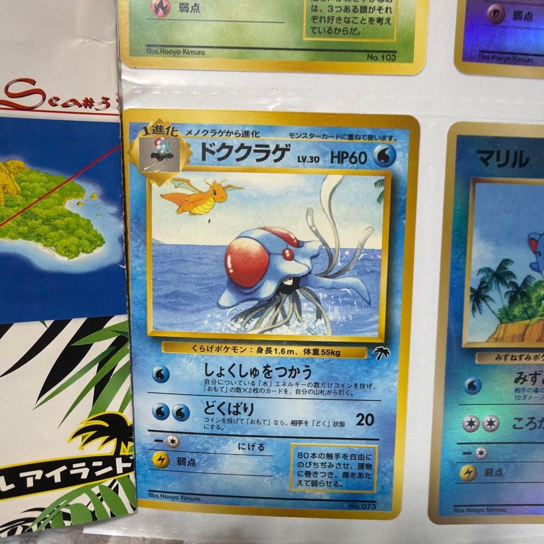 ポケモンカード サザンアイランド　トロピカルアイランド　旧裏　セットファイル