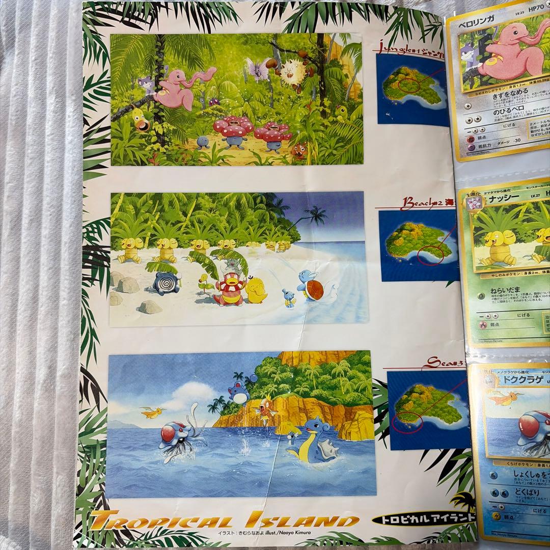 ポケモンカード サザンアイランド　トロピカルアイランド　旧裏　セットファイル