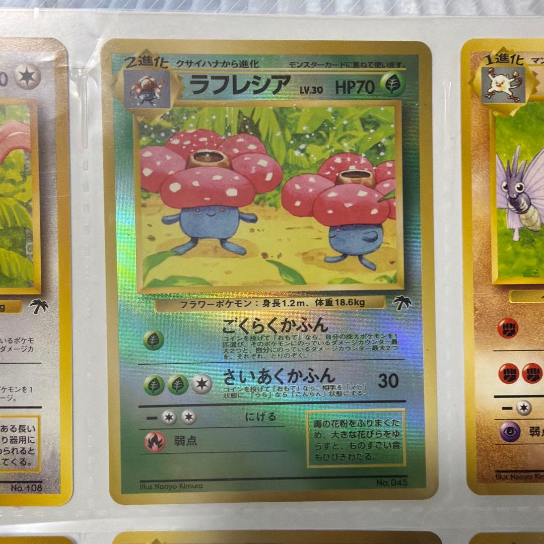 ポケモンカード サザンアイランド　トロピカルアイランド　旧裏　セットファイル