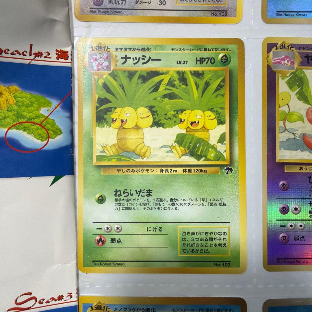 ポケモンカード サザンアイランド　トロピカルアイランド　旧裏　セットファイル