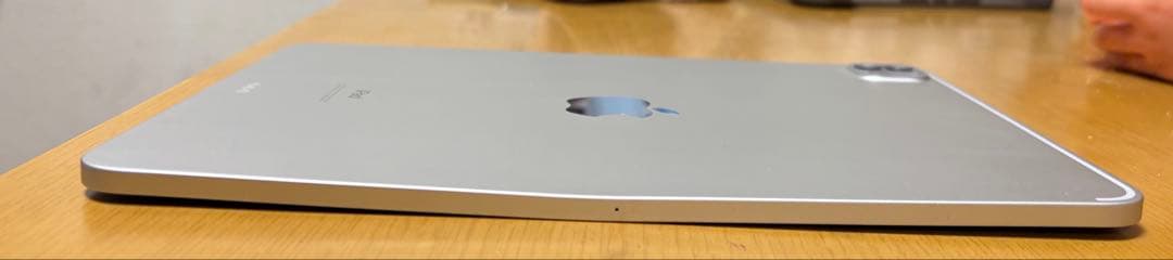 iPad Pro 11インチ（第2世代）2020年モデル 本体 ⚠️ジャンク品