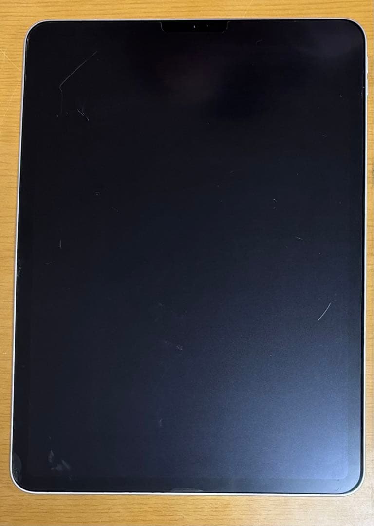 iPad Pro 11インチ（第2世代）2020年モデル 本体 ⚠️ジャンク品