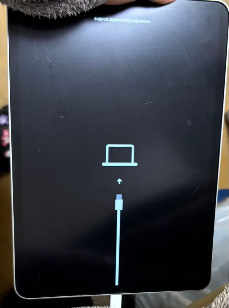 iPad Pro 11インチ（第2世代）2020年モデル 本体 ⚠️ジャンク品