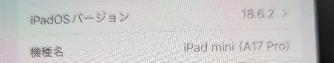 iPad mini(A17 pro) 第7世代 128GB Wi-Fi
