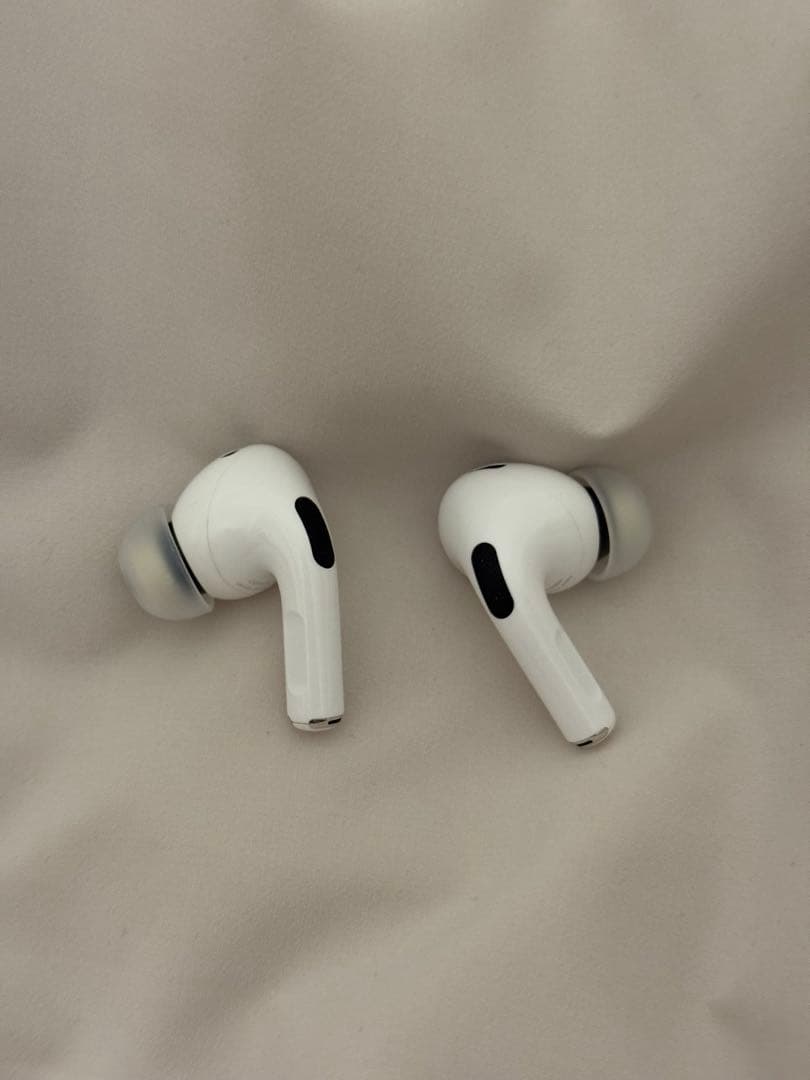 AirPods Pro 2 (Type-C)犬の彫刻付き