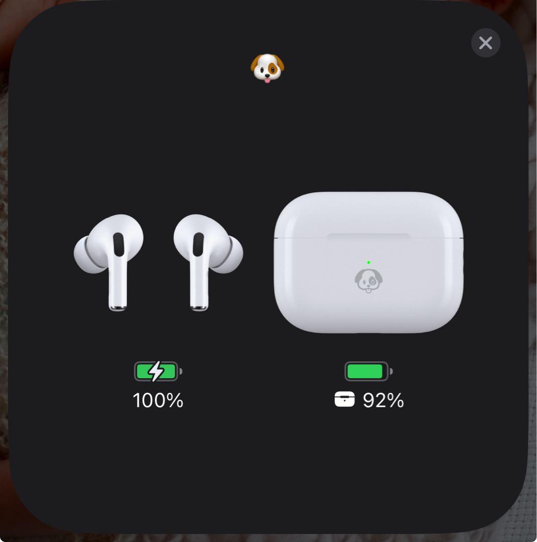 AirPods Pro 2 (Type-C)犬の彫刻付き