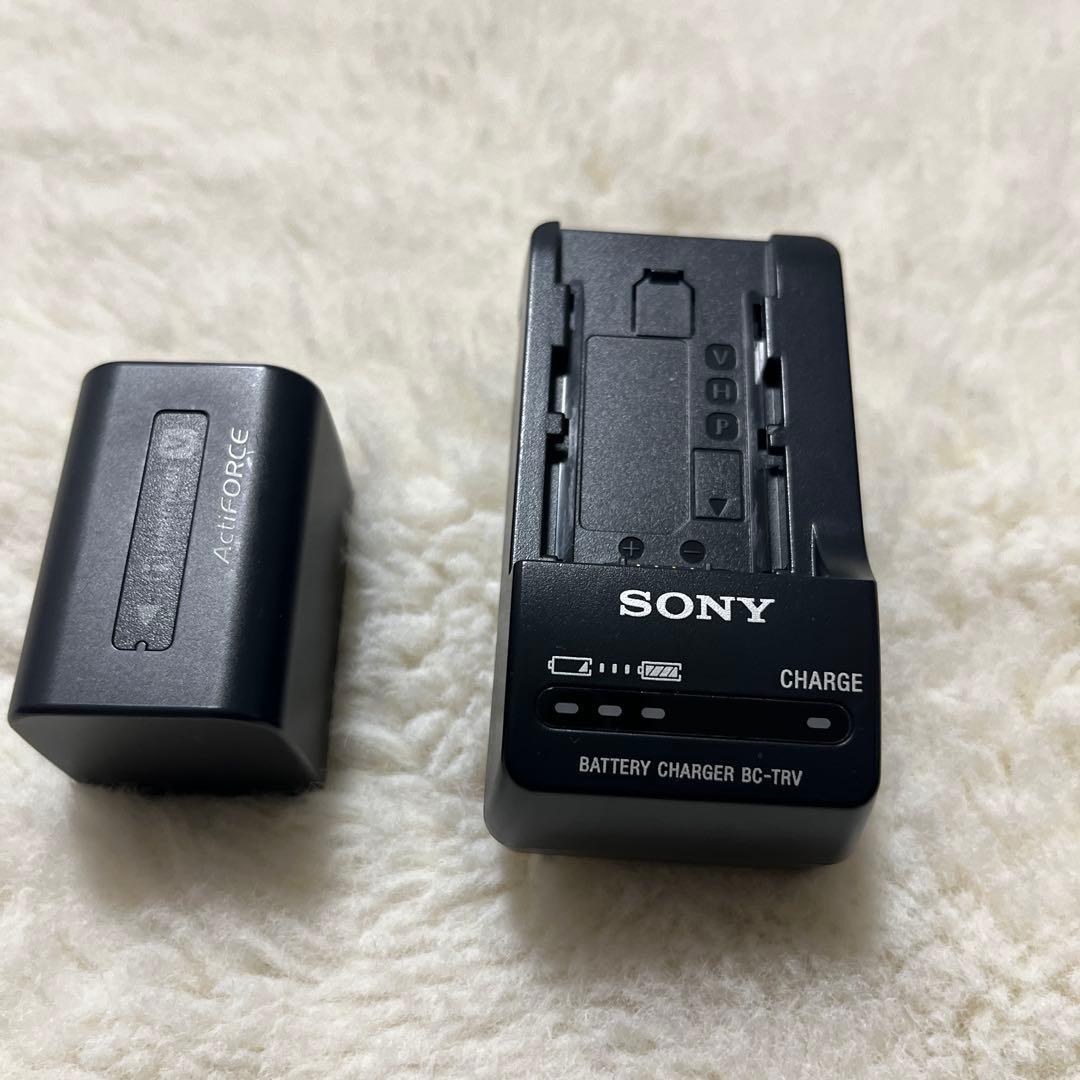 SONY HDR-CX560vビデオカメラ 本体　長時間バッテリー付き