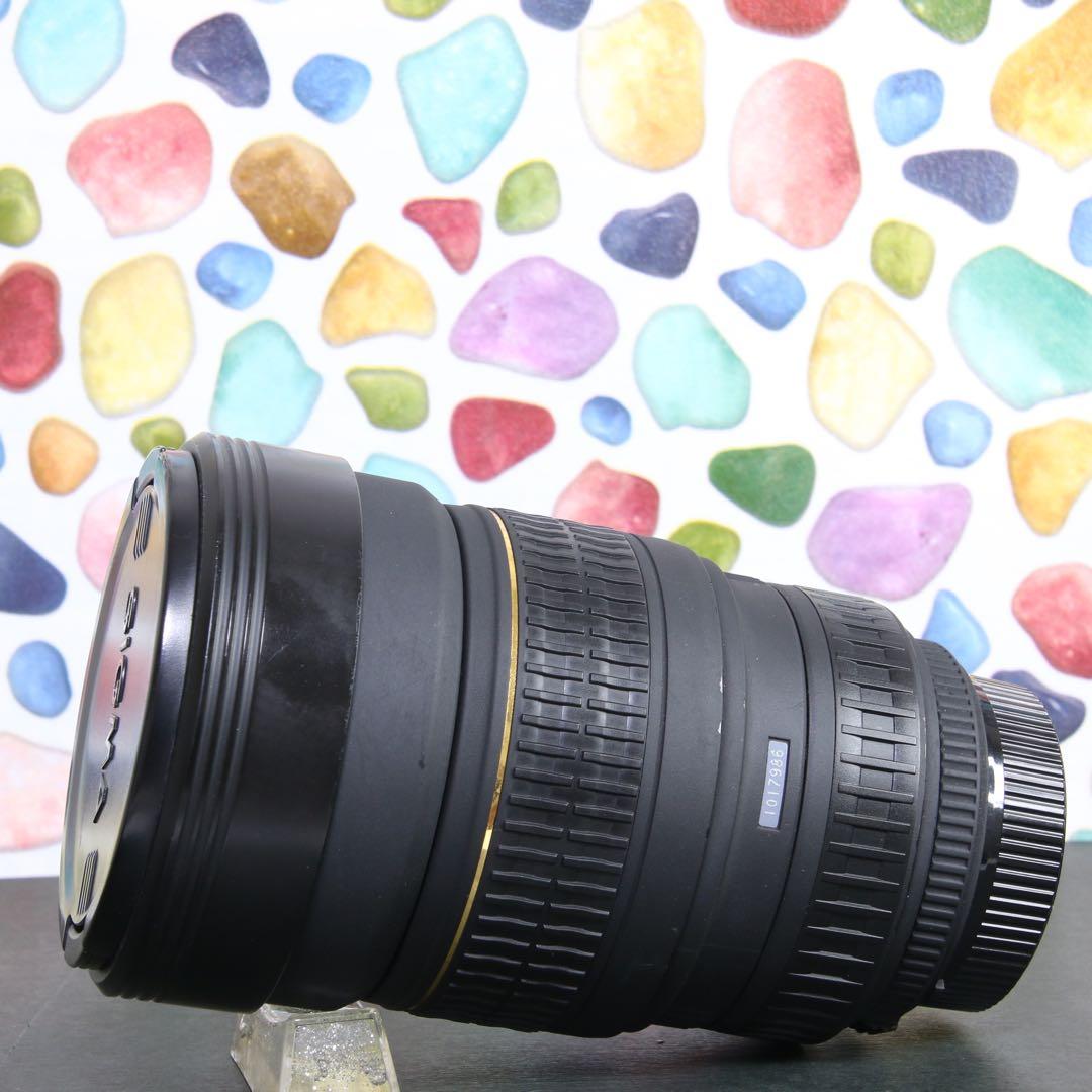 ♥︎◇SIGMA 15-30ｍｍ EX DG Nikon ◇ケース付き