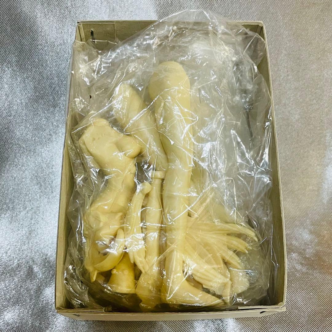 ソリッドハーモニー アスカ スケスケプラグギャル 1/8 ガレージキット 希少品