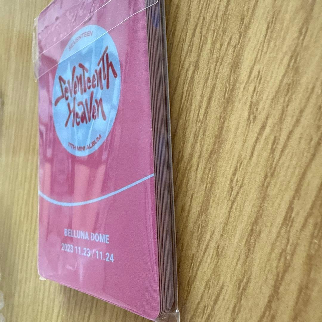 SEVENTEEN HAVEN ベルーナドーム13枚コンプセット