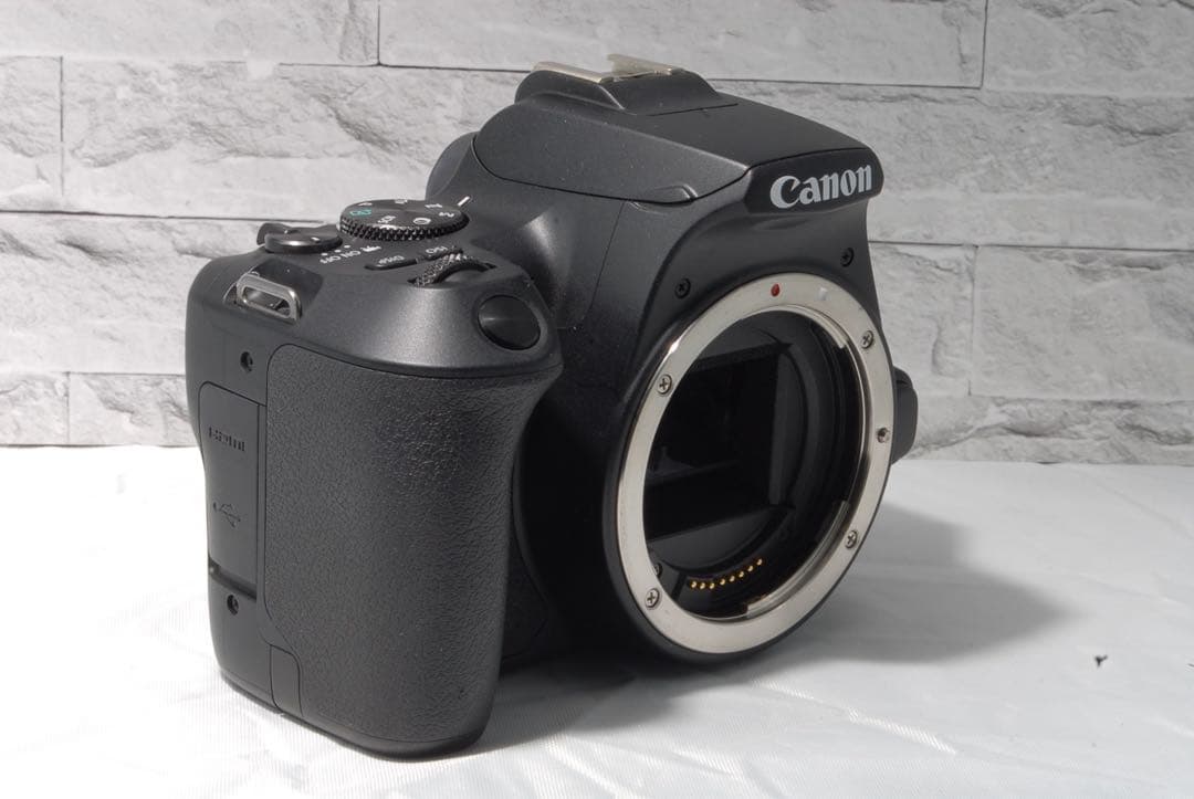 Canon EOS Kiss X10 望遠レンズ　Wi-Fi機能搭載 新品級