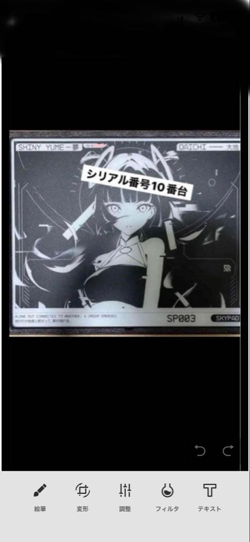 SKYPAD 3.0 2枚まとめ売り　お得