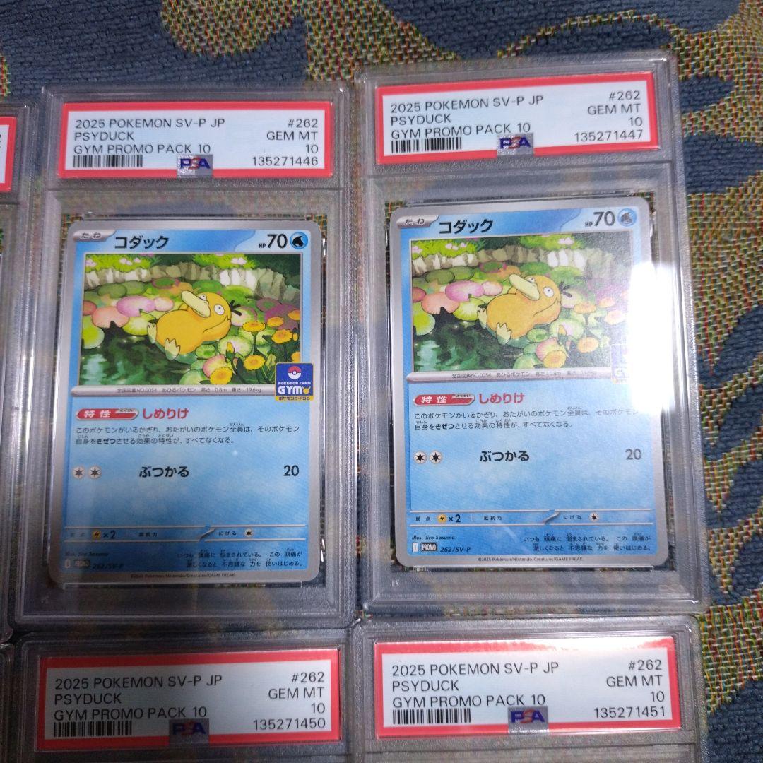 【PSA10】コダック しめりけ 262/SV-P ジムプロモ 8枚 連番