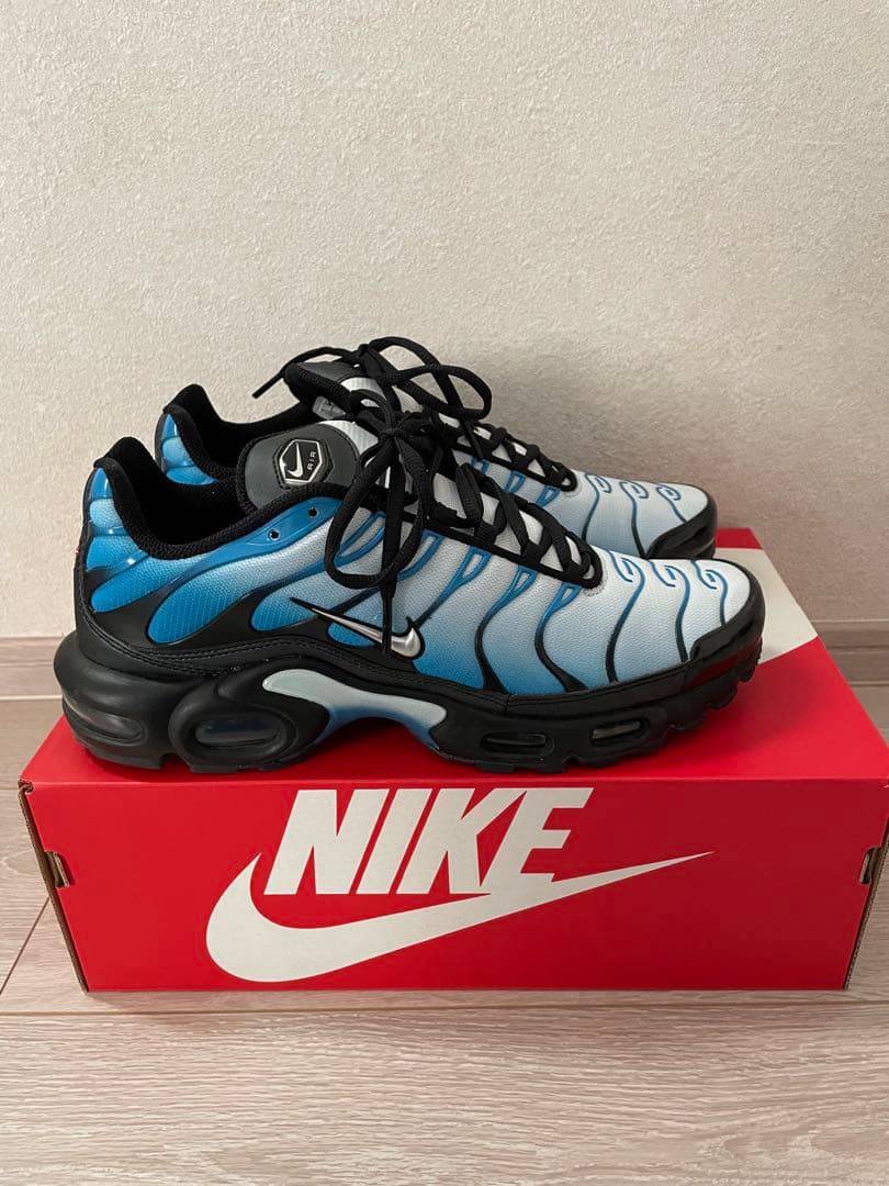 チ*チ様 Nike Air Max Plus 青/黒