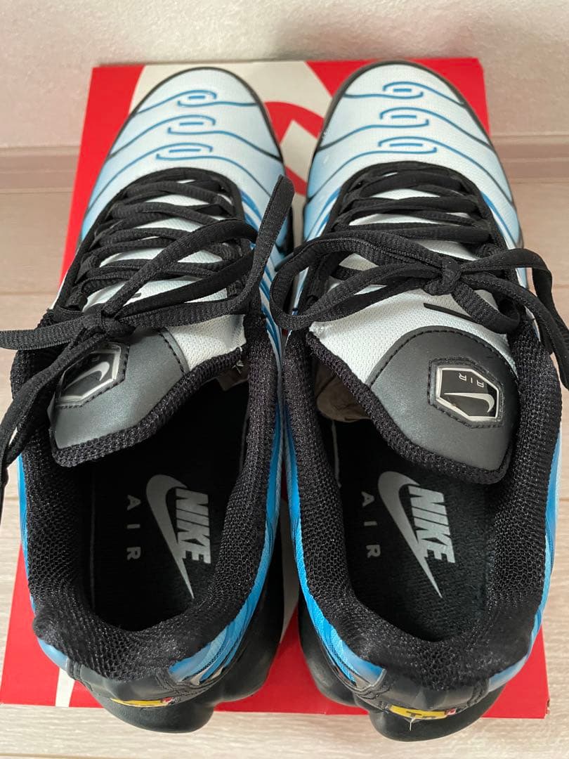 チ*チ様 Nike Air Max Plus 青/黒