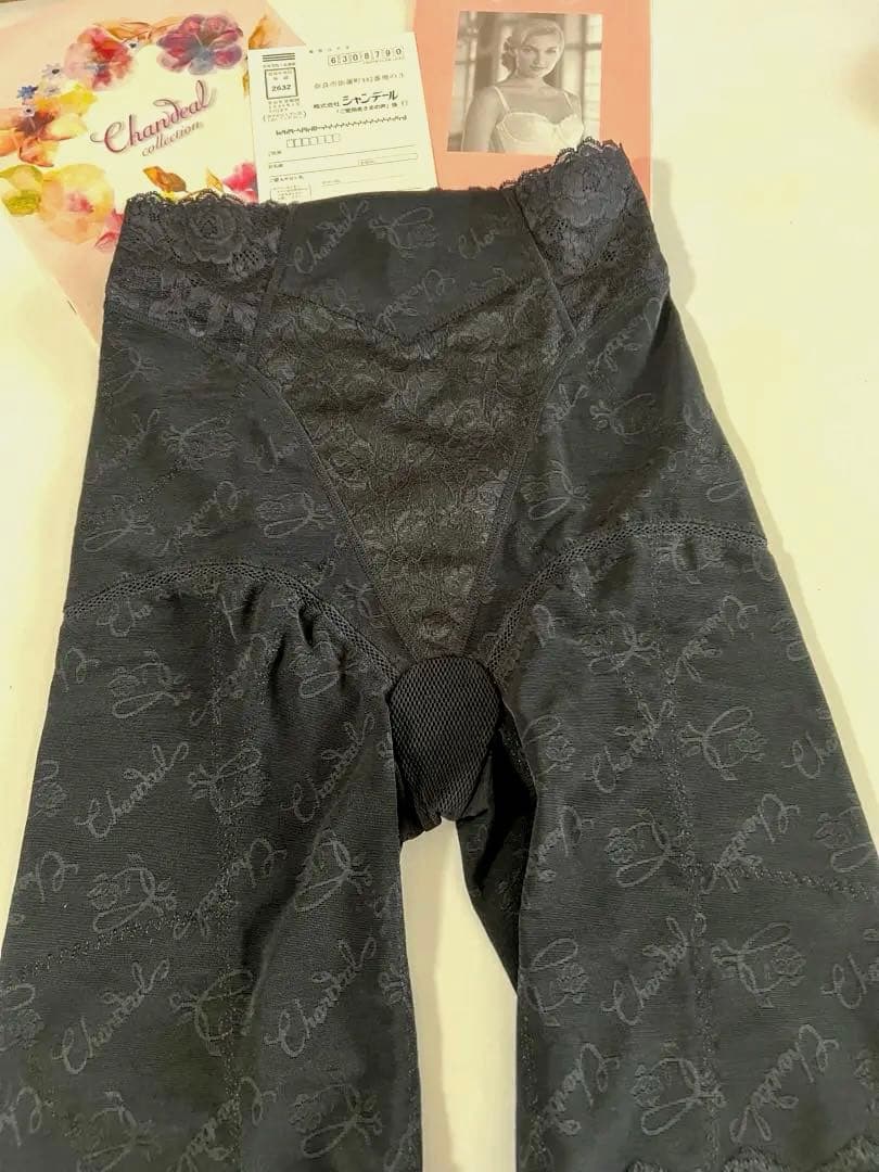 シャンデールNew！ハイエレガント新登場！フルロングガードル70！太ももスッキリ