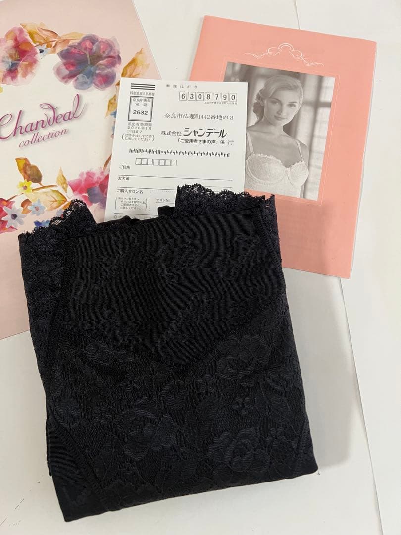 シャンデールNew！ハイエレガント新登場！フルロングガードル70！太ももスッキリ