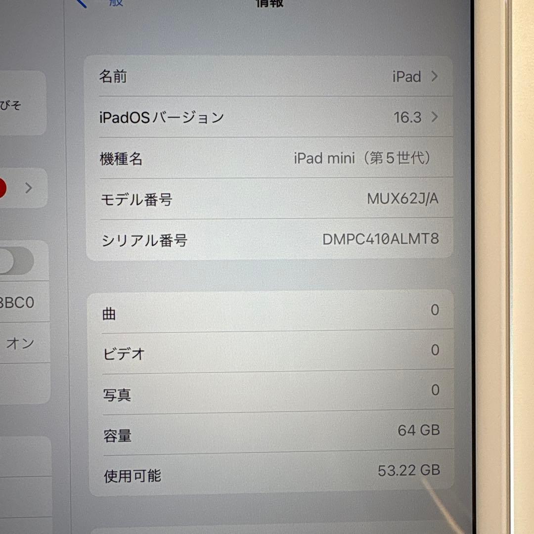 iPad mini5 セルラー 64GB SIMフリー(62)