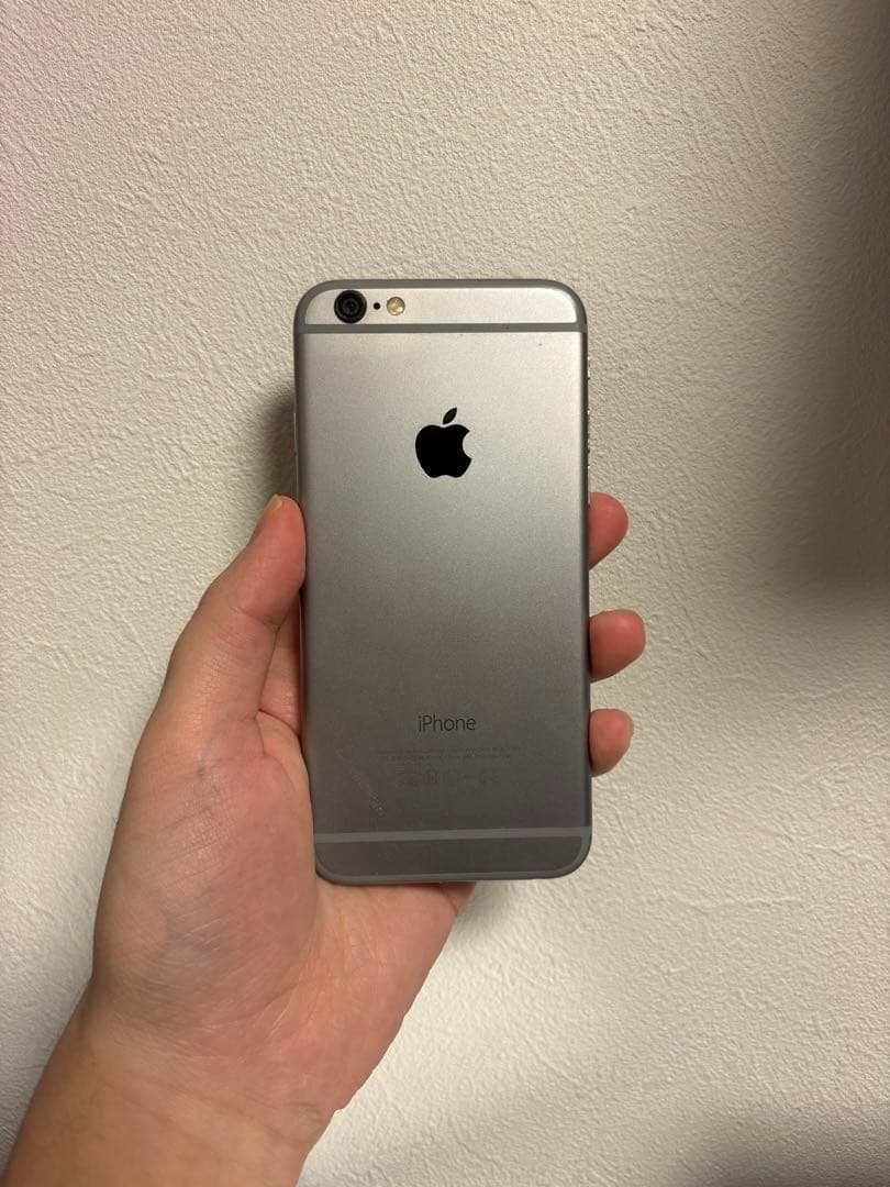 Apple iPhone 6 シルバー　本体とケース