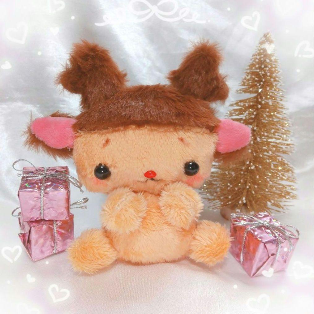 コリスマス 人懐っこい子.*・゜