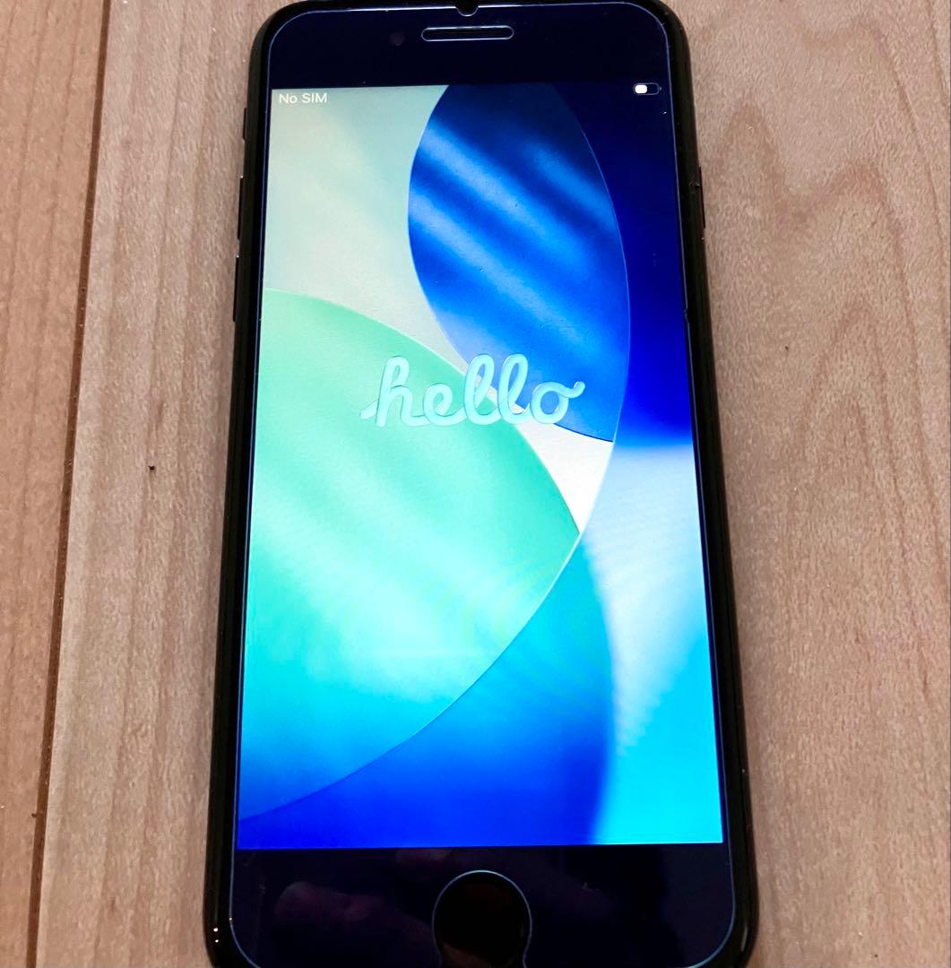 Apple iPhone SE2 64GB Wi-Fiのみ