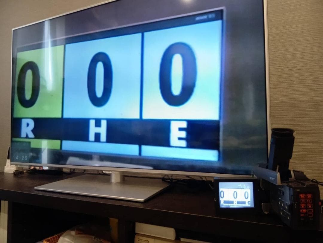 【箱リモコン付き】 SONY ビデオカメラ CCD-TRV90 Hi8 8mm