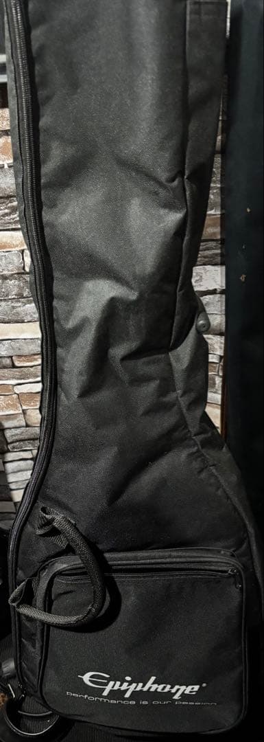 ギター GrassRoots G-SNAPPER-TO mod.