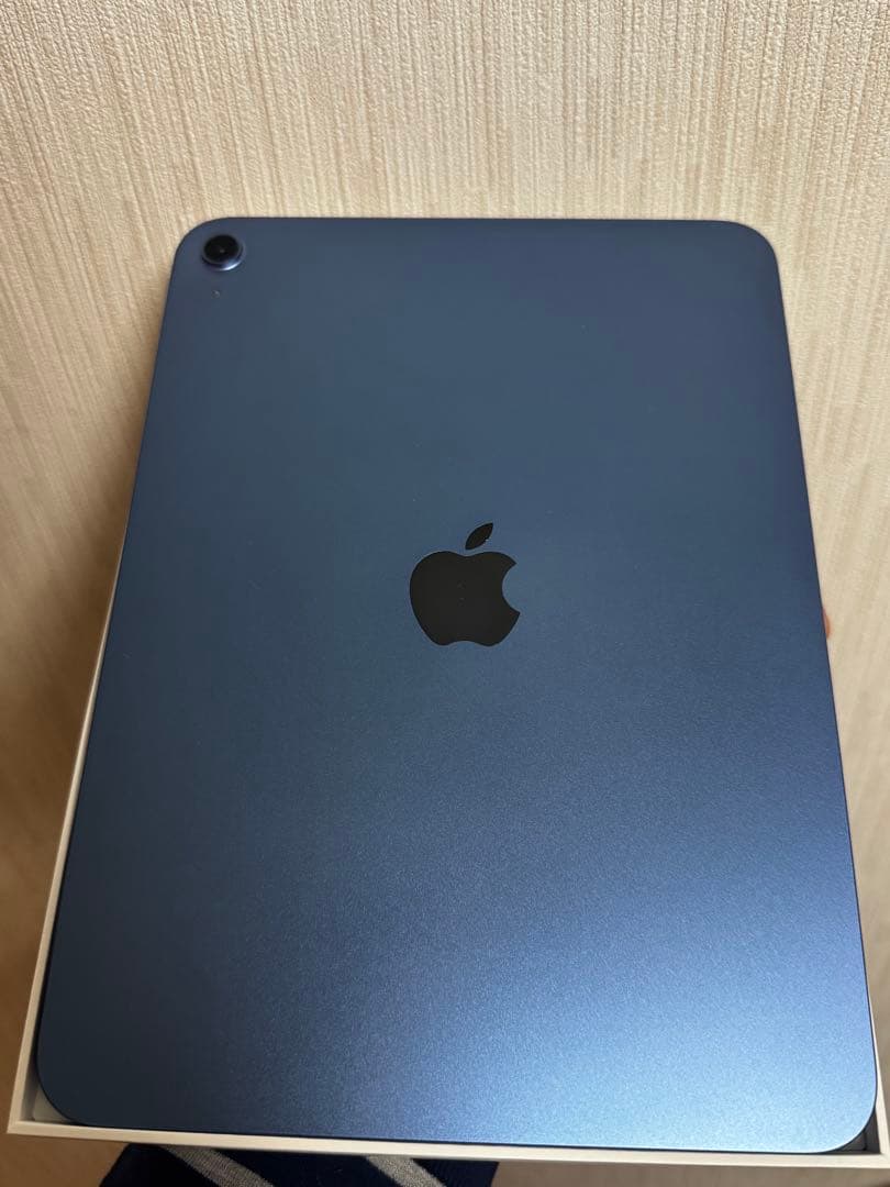 ナ*↓様 iPad 無印 A16チップ 128GB ブルー 最大容量100％ 充