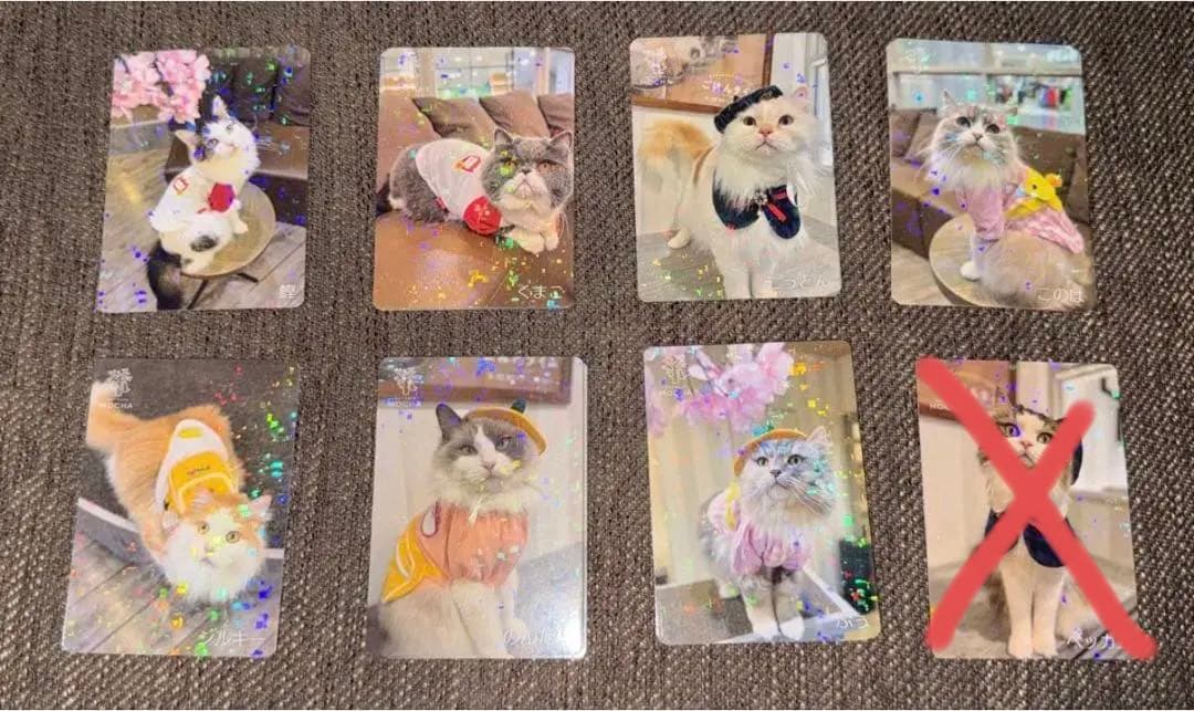 【バラ売り可】にゃんずトレカ立川店 2025