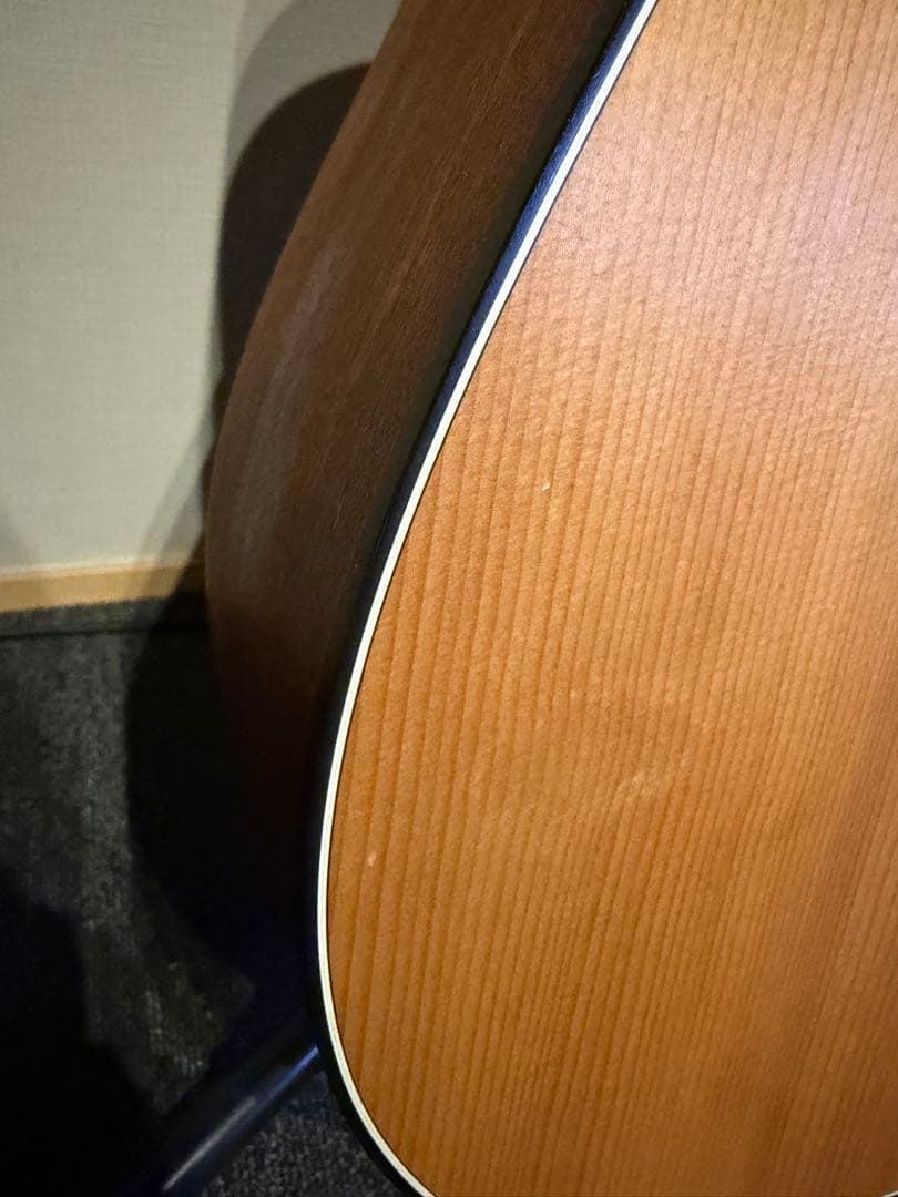 Martin エレアコ Dreadnought Junior DJR-10E