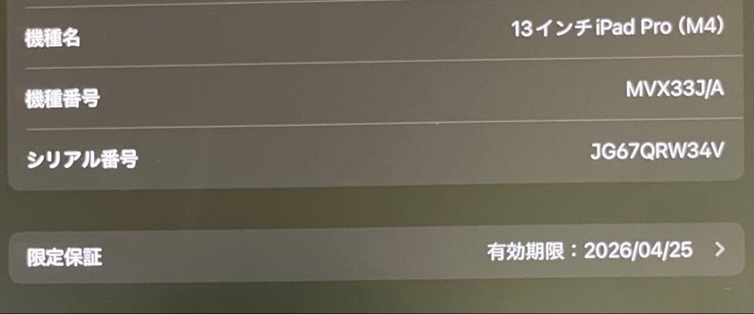 【最安値】iPad Pro 13インチ M4 256GB シルバー Wi-Fi
