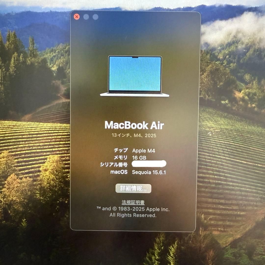 Apple MacBook Air M4(2025年モデル)シルバー