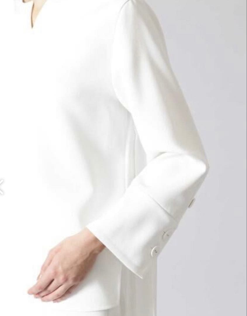 ADORE アドーア　ミドルジョーゼットバックプリーツブラウス