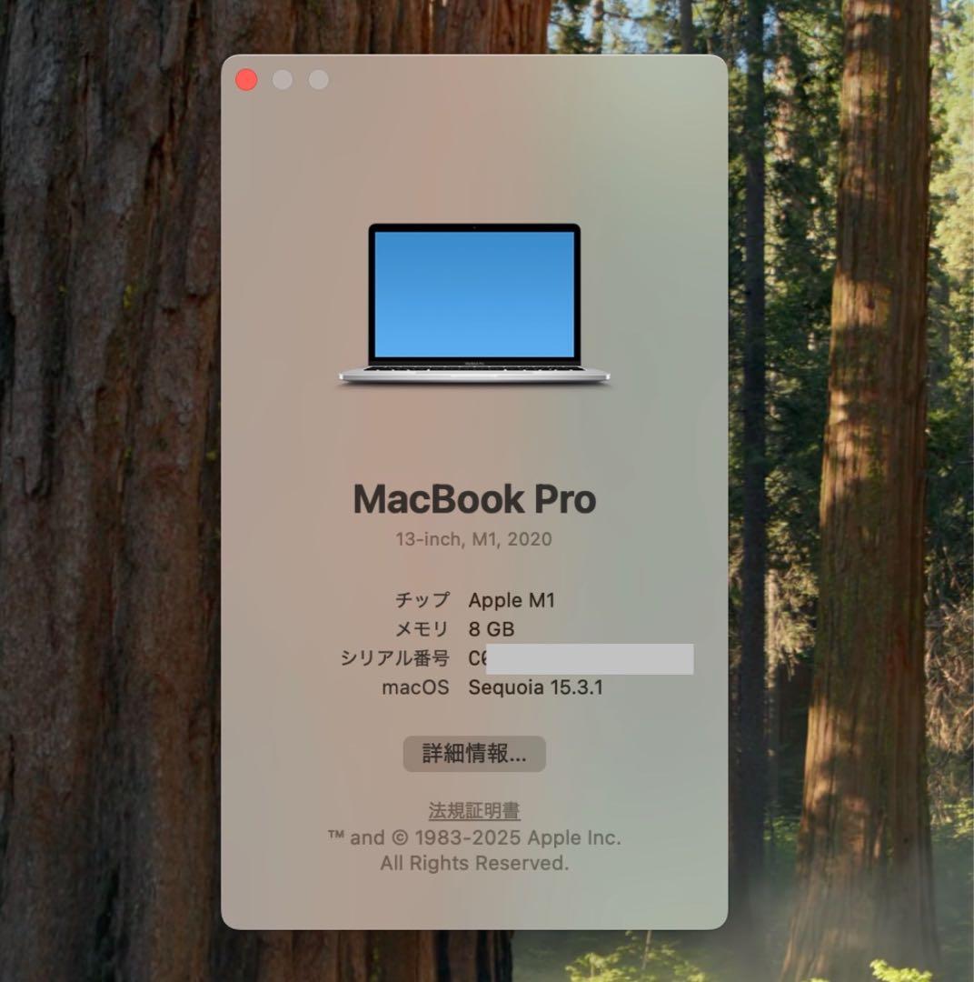 MacBook本体 Macbook Pro 2020 M1 8GB/512GB