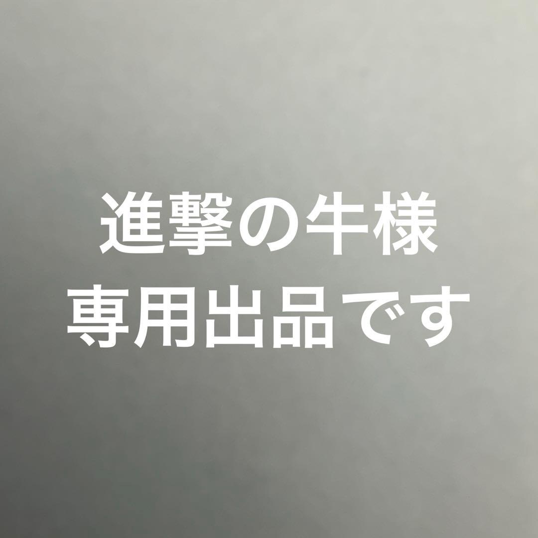 進撃の牛　THE NORTH FACEスクープジャケット NP61940