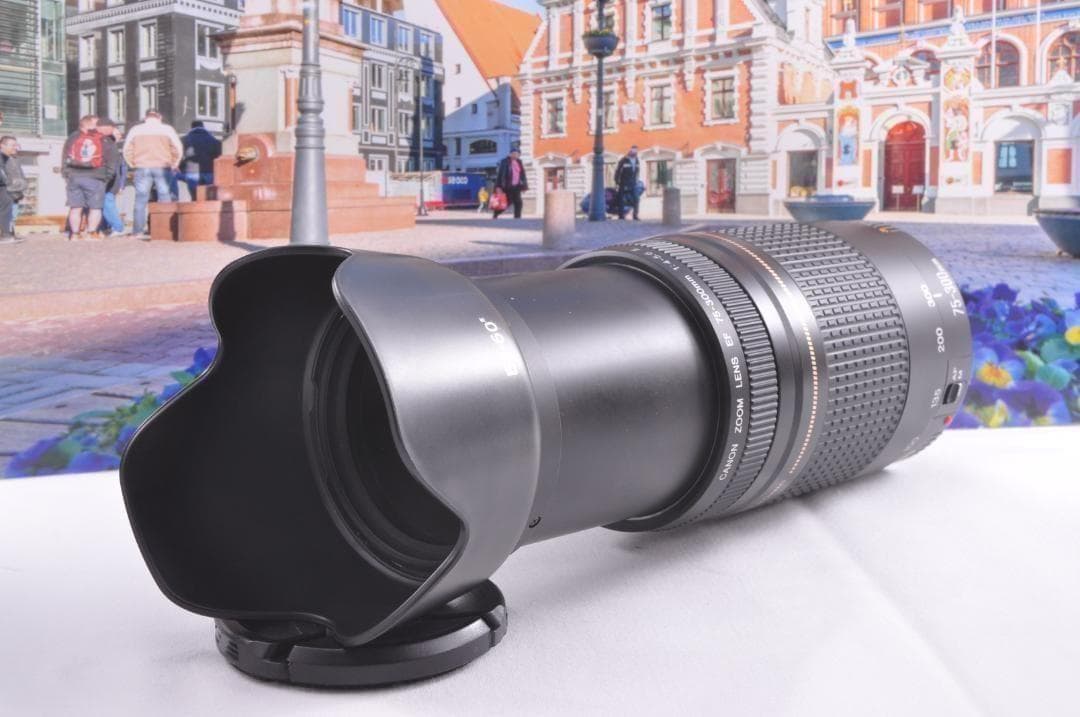 望遠レンズ Canon キヤノン 迫力の75-300mm レンズフード付き！