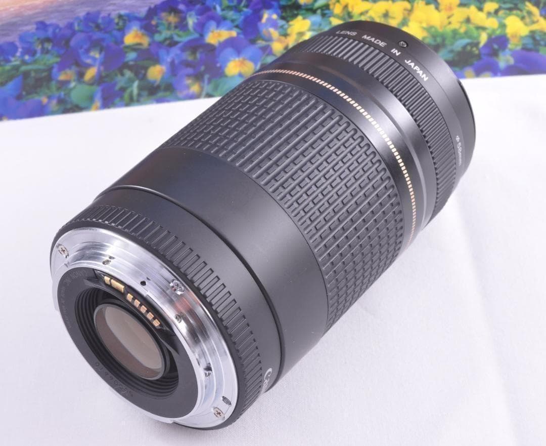 望遠レンズ Canon キヤノン 迫力の75-300mm レンズフード付き！